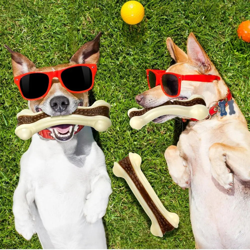 10 Pack Dog Chew Toys, Durable Nylon Bones for Teething Puppies, Suitable for All Sizes (5.1 x 2 Inch)