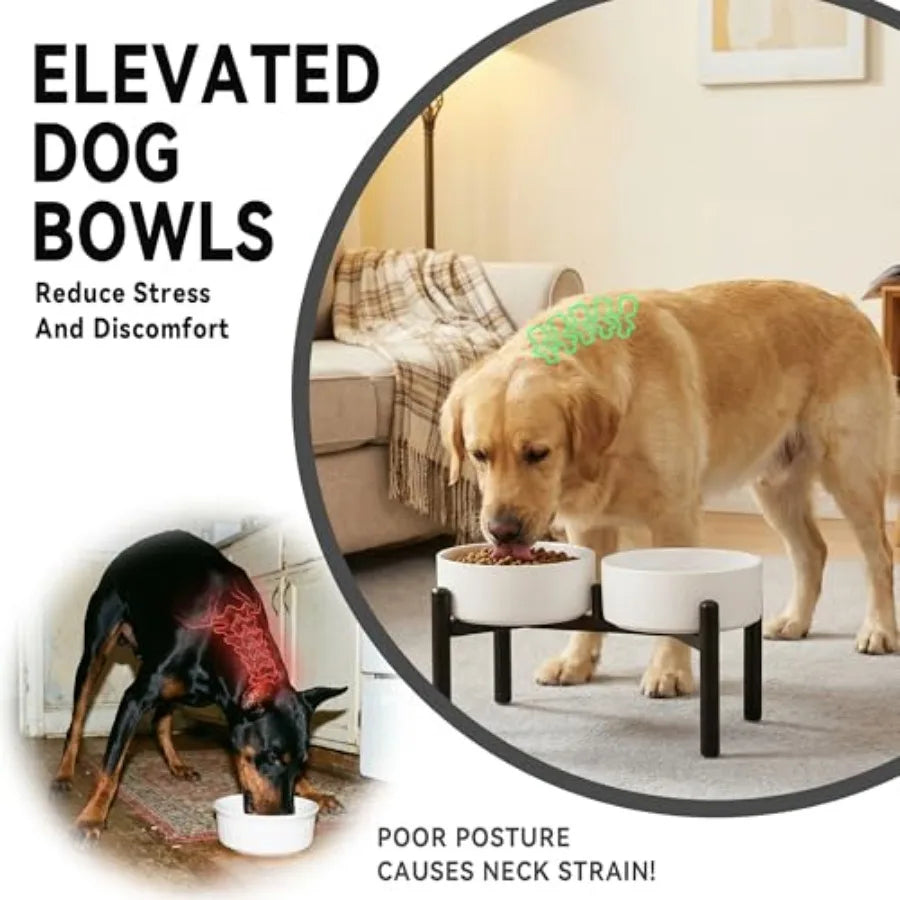 Dog Bowls Elevated - Ceramic Raised Dog Bowl with Non Slip Steel Stainless Stand - No Spill and Heated Feeding Station - Food a