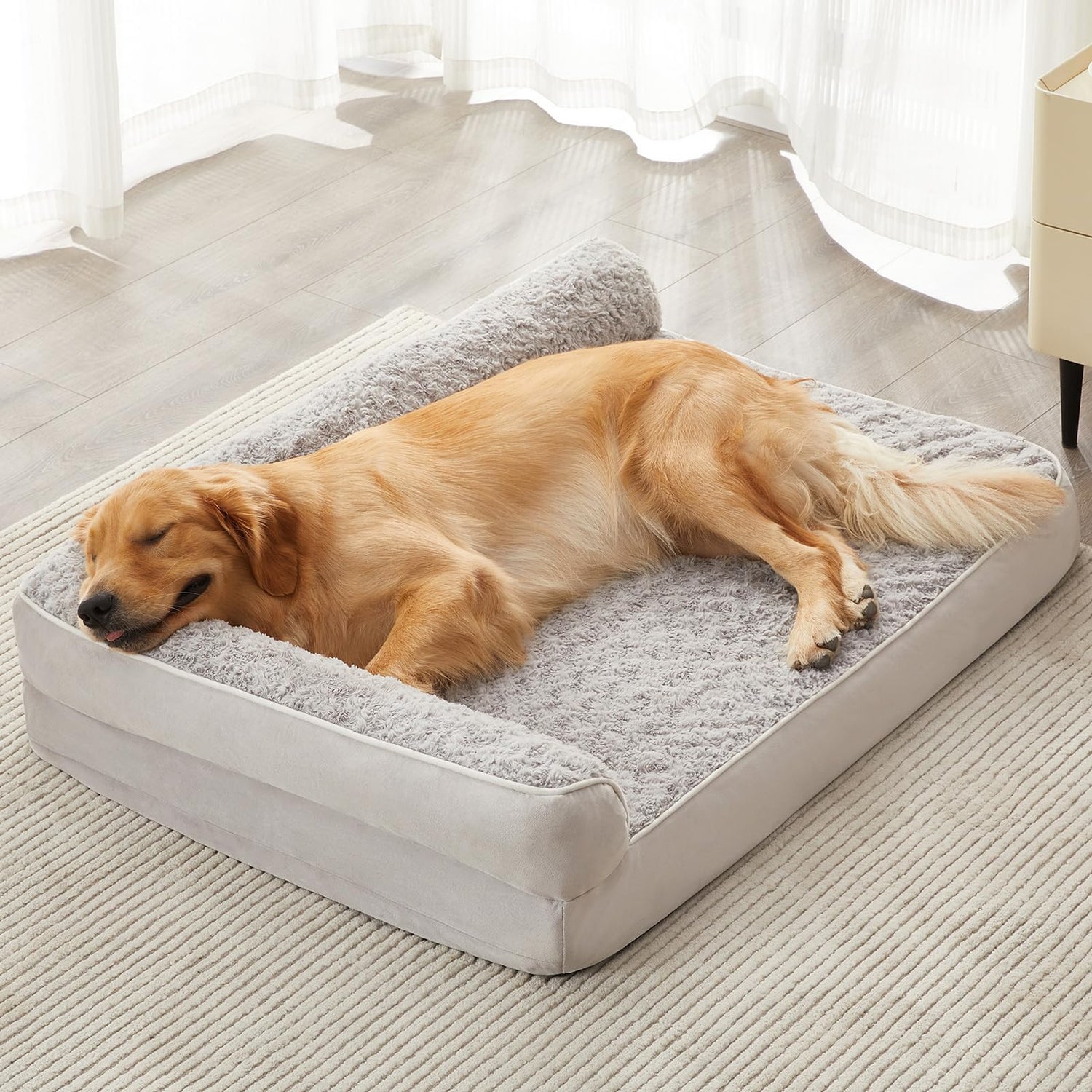 Dog Beds