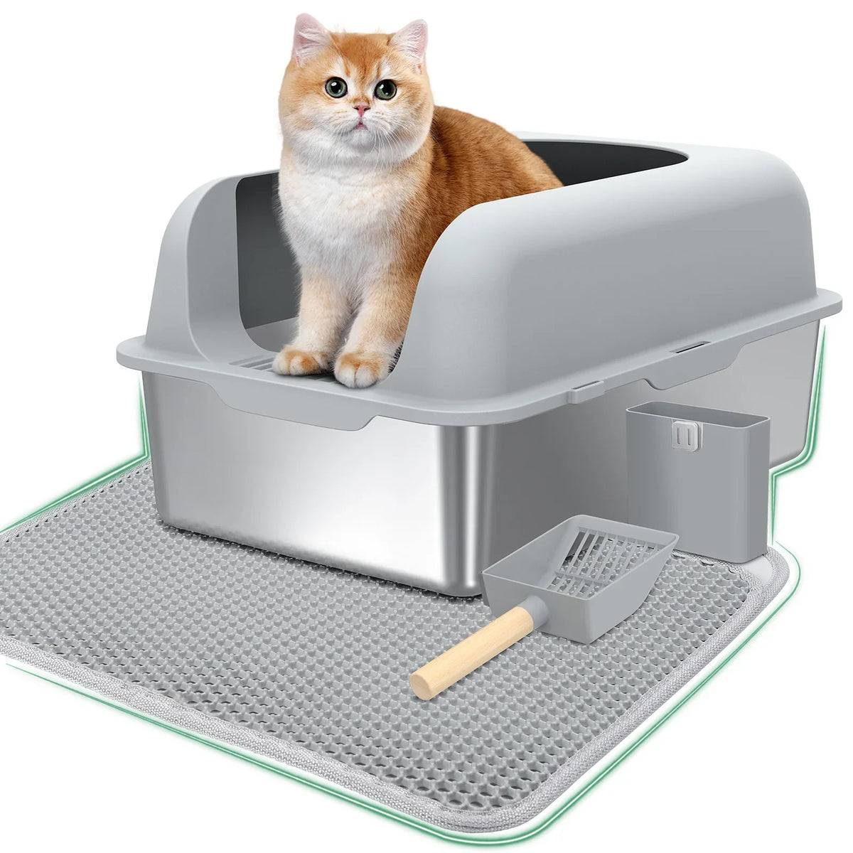 Litter Boxes