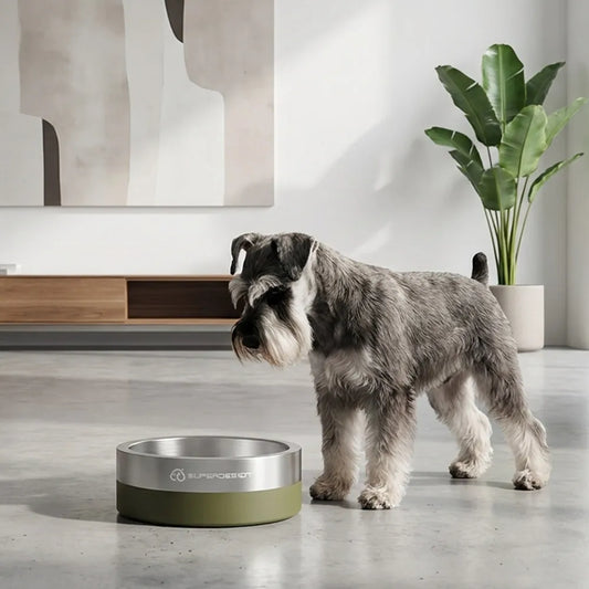 Super Design Stainless Steel Pet Bowl, Cat Bowl, Large-Diameter Dog Bowl, Dog Basin, Anti-Knock Slow Food Bowl
