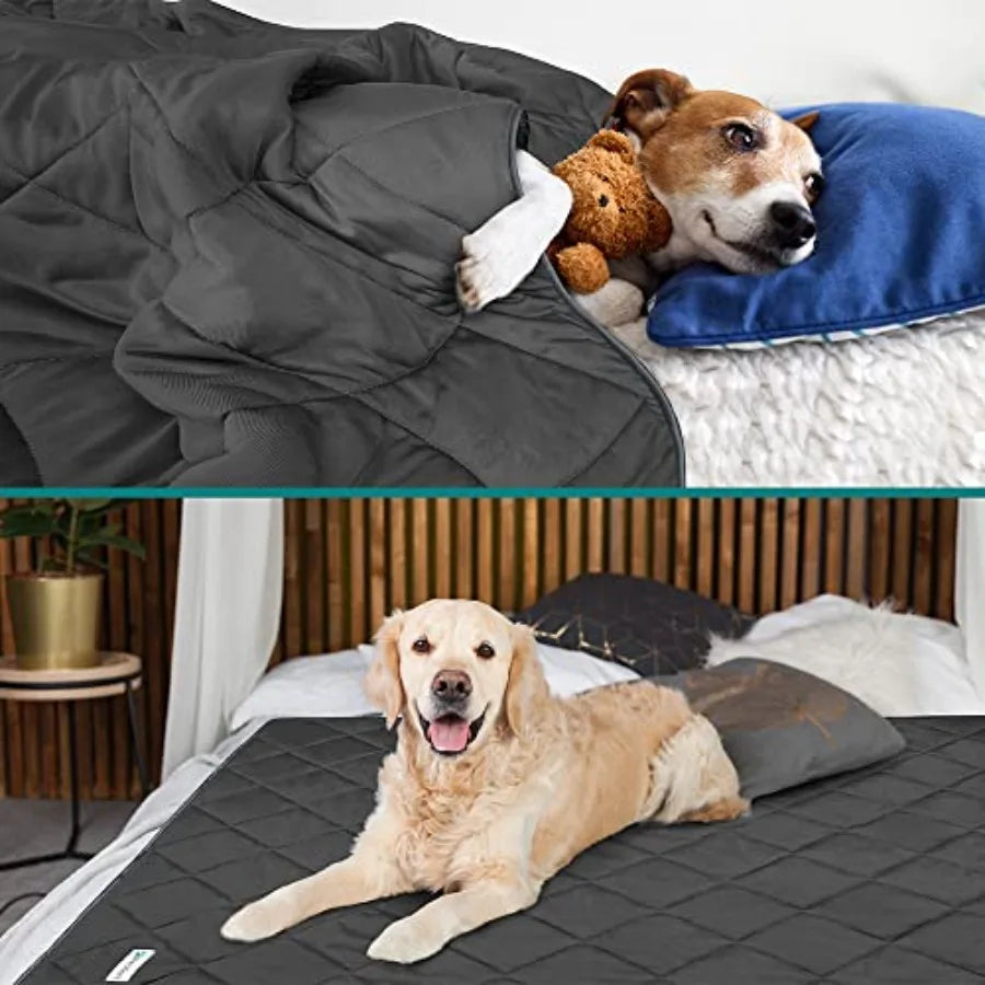 Premium Cooling Dog Blanket Lightweight Fluffy Pet Throw Blanket Bed Cover for Dogs, Cat, Puppies Pet Blanket Furniture Protect