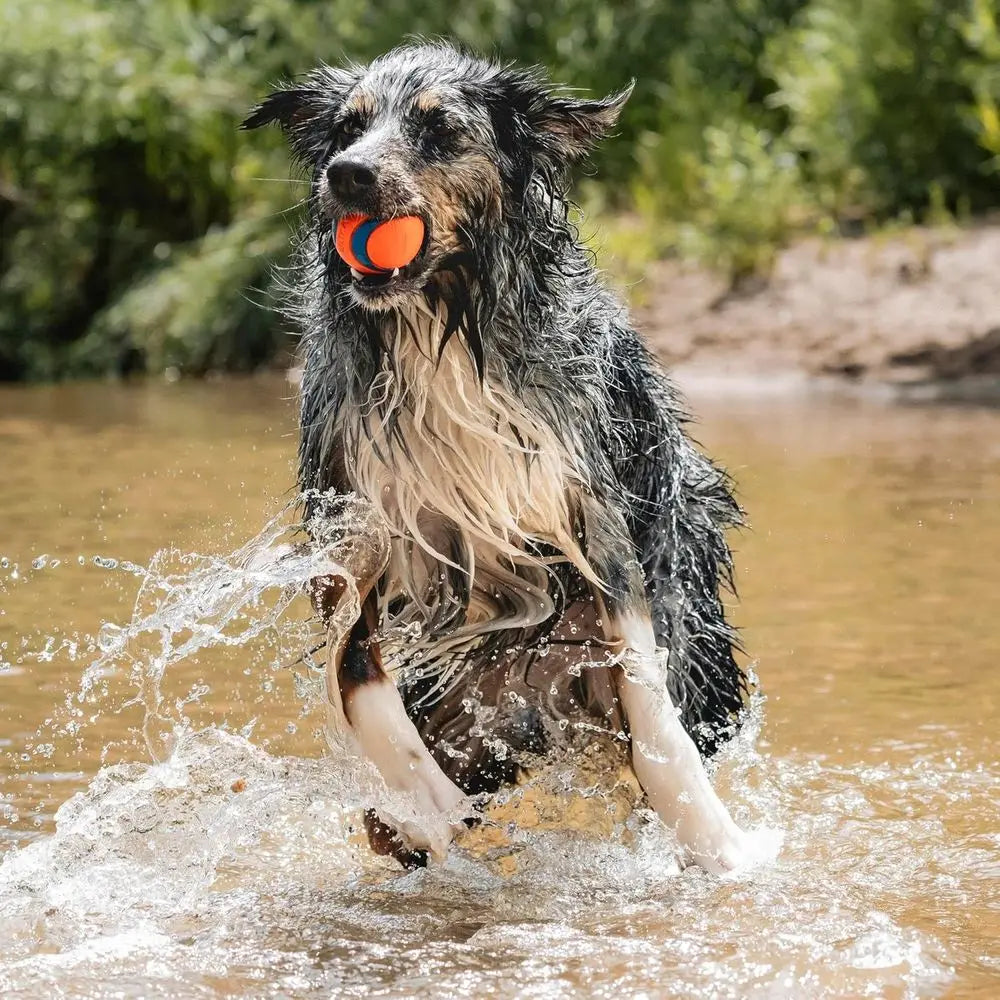 Ultra Ball Dog Toy - Size Large - for Dogs 60-100 lbs - Made of Durable Rubber - Super Bouncy - Floats in Water - 3-inch Diamete