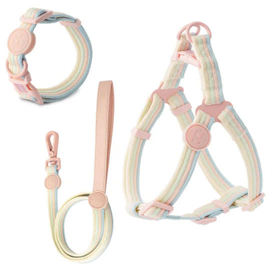 Iridescent Color-Block Dog Collar & Comfort Dog Harness Vest Pet Leash for Small Medium Dogs Outdoor Pet Walking Accessories