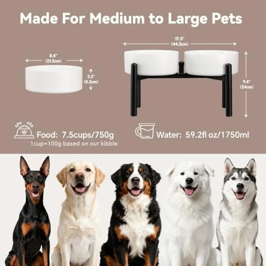 Dog Bowls Elevated - Ceramic Raised Dog Bowl with Non Slip Steel Stainless Stand - No Spill and Heated Feeding Station - Food a
