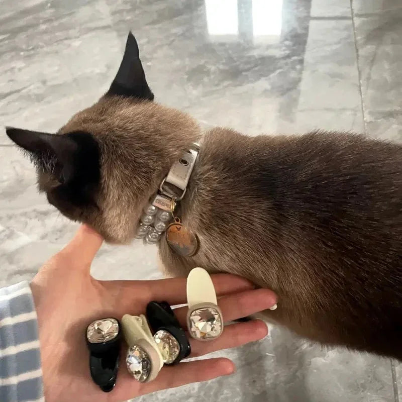 Luxury Pearl Sphynx Cat Necklace Collar Adjustable for Small Cats Pet Collars and Leash Set Kitten Garfield Pet Accessories