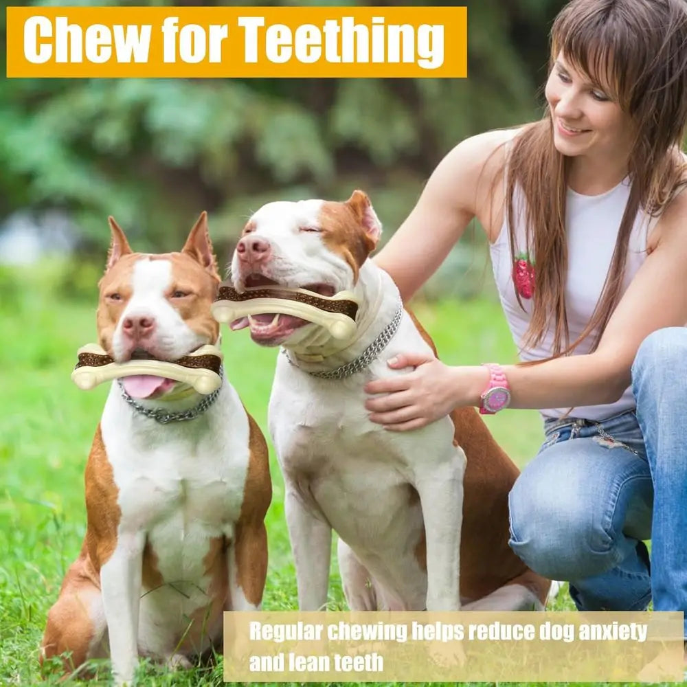 10 Pack Dog Chew Toys, Durable Nylon Bones for Teething Puppies, Suitable for All Sizes (5.1 x 2 Inch)